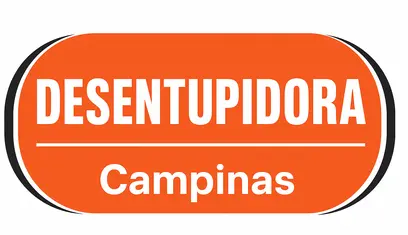 desentupidoras campinas